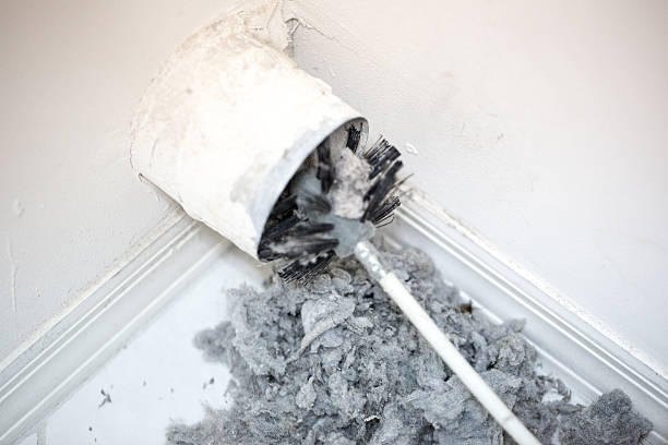 Best Professional Duct Cleaning Services  in Bellevue, MI